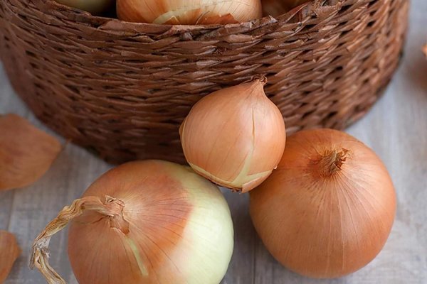 Kraken onion link