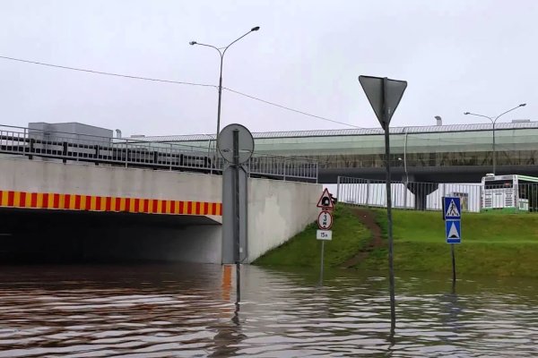 Работает ли кракен