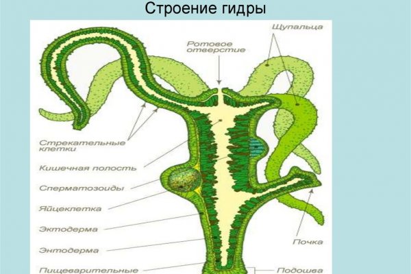 Войти на кракен