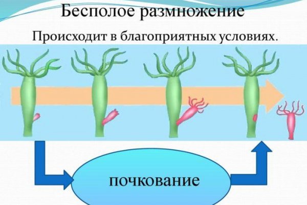 Зеркало kraken тор ссылка рабочее