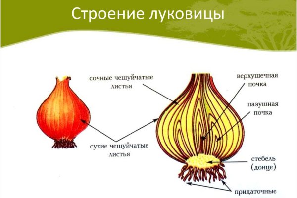 Сайт кракен тор браузера